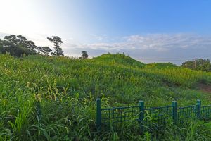 함평죽암리고분