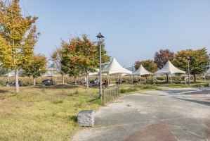 숲뜰근린공원 사진 8