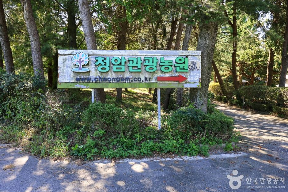 青岩観光農園