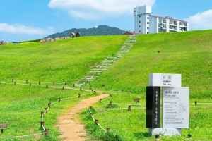 김해 대성동 고분군