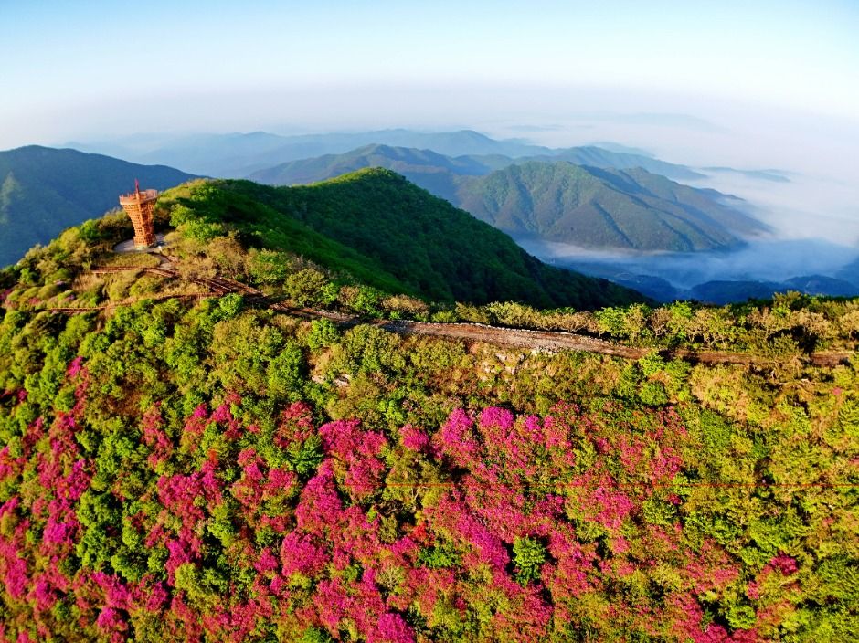 寒雨山