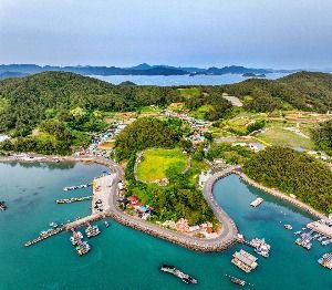 고성 소을비포진성