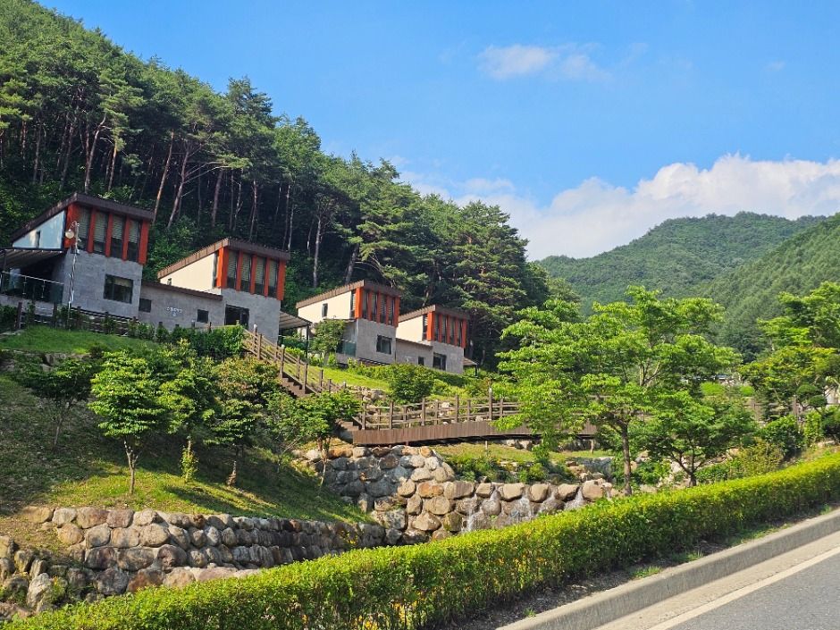 文殊山自然休養林