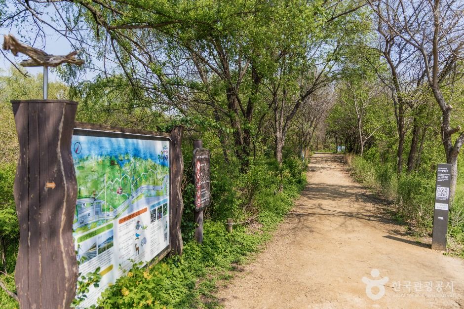 广津汉江公园岩寺生态公园