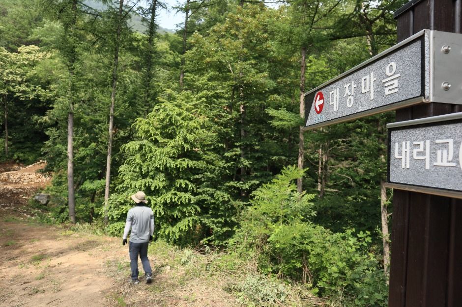 大场村