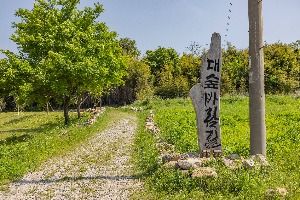 면천읍성 대숲바람길