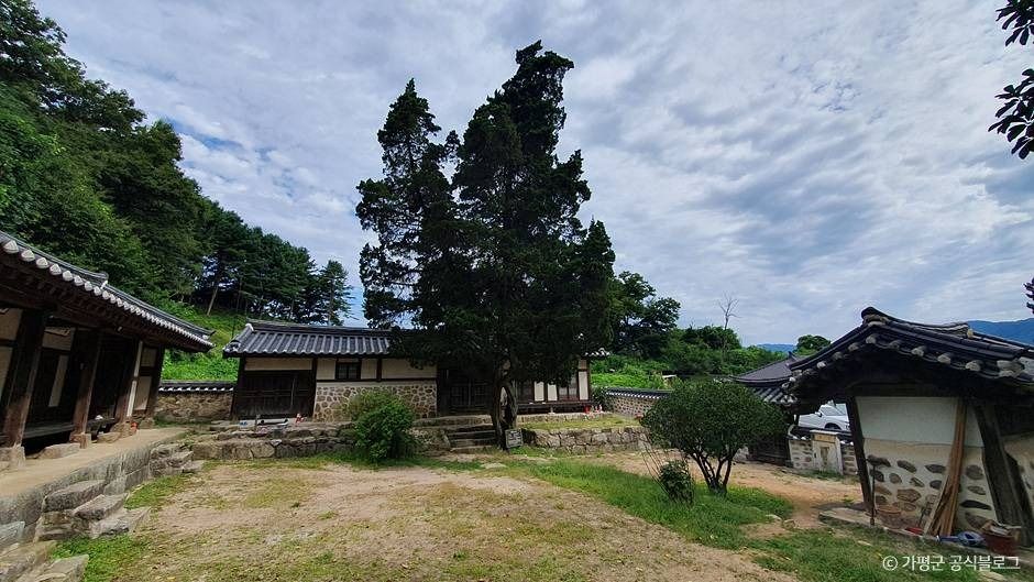 加平 蓮下里の香木