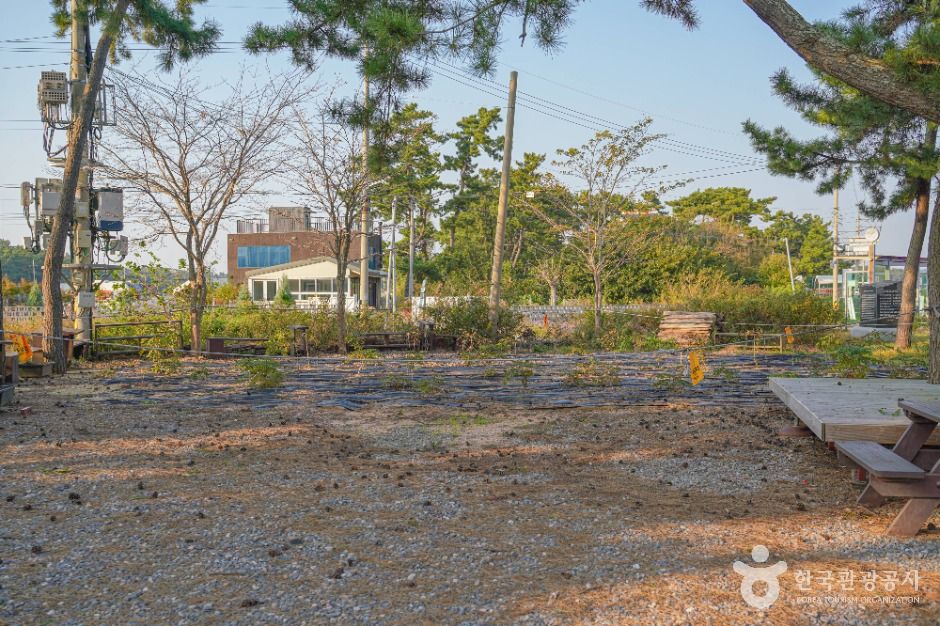 해뜨는 대부도 고랫부리