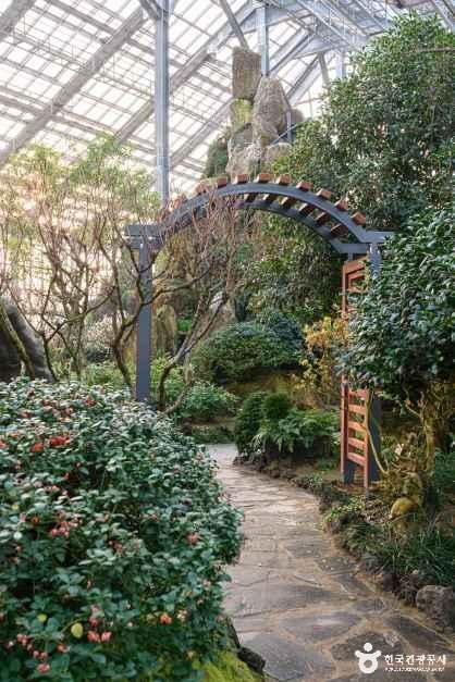 경기_화성_화성 우리꽃식물원_내부_3.jpg