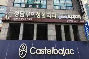 Cheongdam Rui Plastic Surgery Clinic [Tax Refund Shop](청담루이성형외과의원)