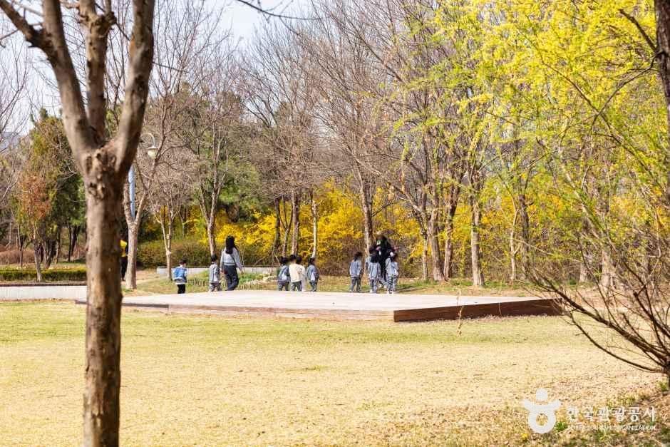 세계평화의숲