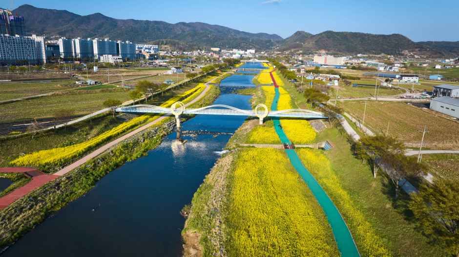 화순 봄꽃 축제