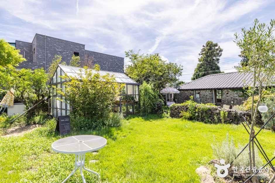 뚜띠콜로리 뮤제오