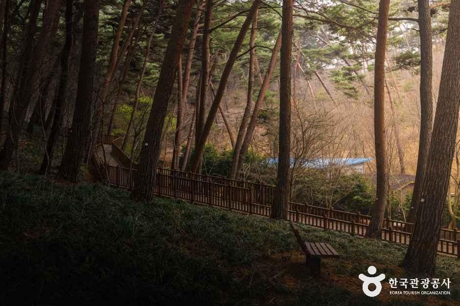 4057441 image2 1 예스키즈존 탐험대 : 실패 없는 육아여행