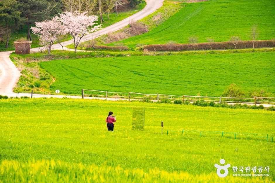 넓은들 학원농장