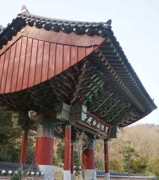 강진 백련사 동백나무 숲
