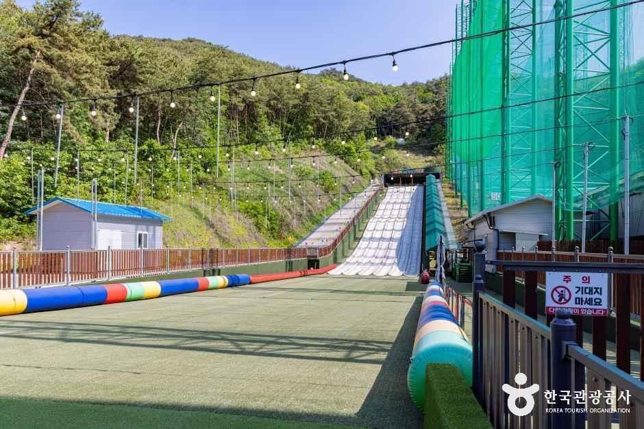단양 사계절썰매장