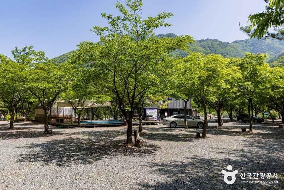 월악힐링캠핑장