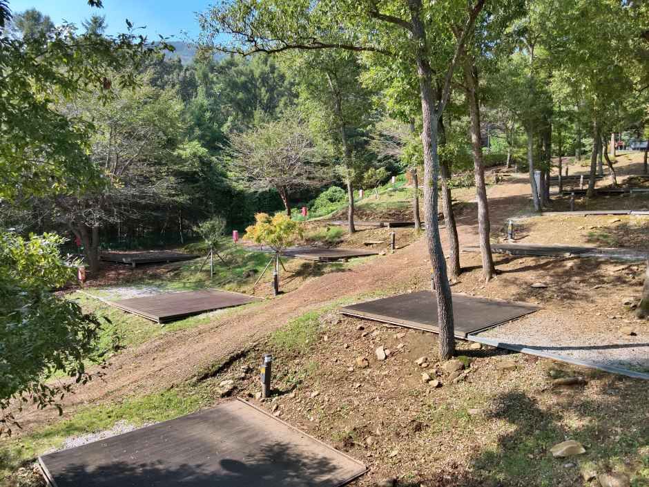 덕산국민여가캠핑장 사진 6