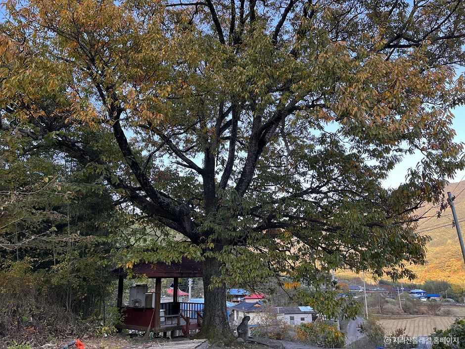 [지리산둘레길] 덕산-위태