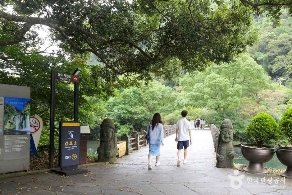 천지연폭포