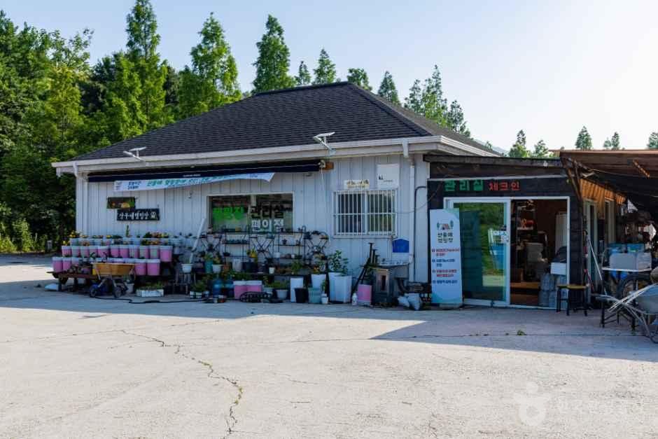 강화도산들애캠핑수영장