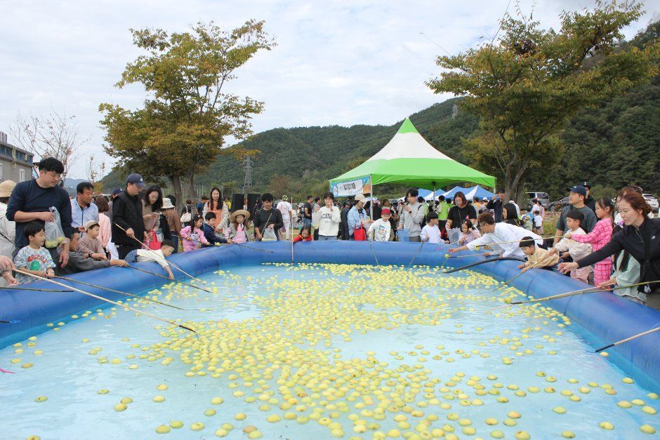 성주가야산황금들녘메뚜기축제 현장 1