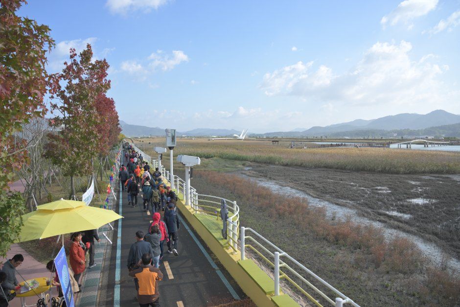 강진만 춤추는 갈대축제 사진 6