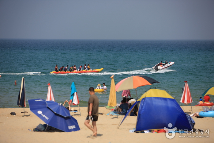 망상해변 망상해변