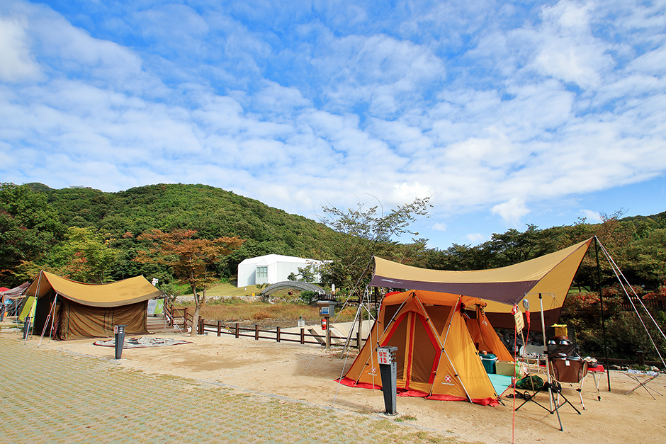 美術館横キャンプ場