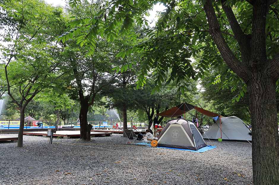 New Healing Camp
