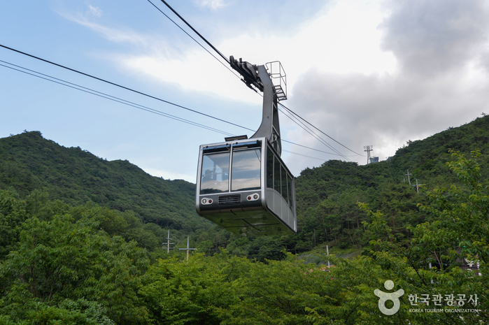 韓流道 2051451 韩国韩独液压行走马达泵胆缸体转子液压件用于日立ZX200
