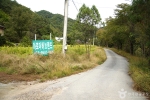홍천 아로마 허브동산 (3)