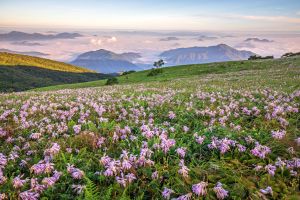 소백산국립공원(북부)