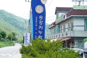 송강카누학교 사진 8