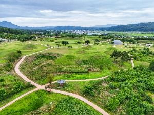 의성 금성면 고분군