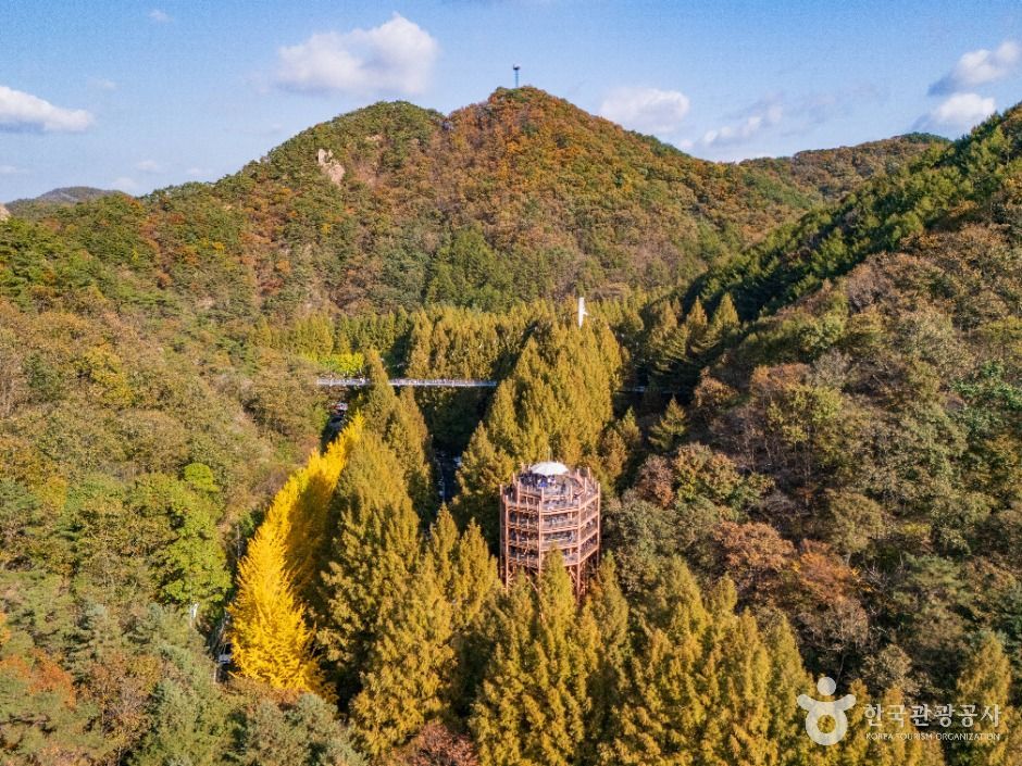 壮泰山自然休养林