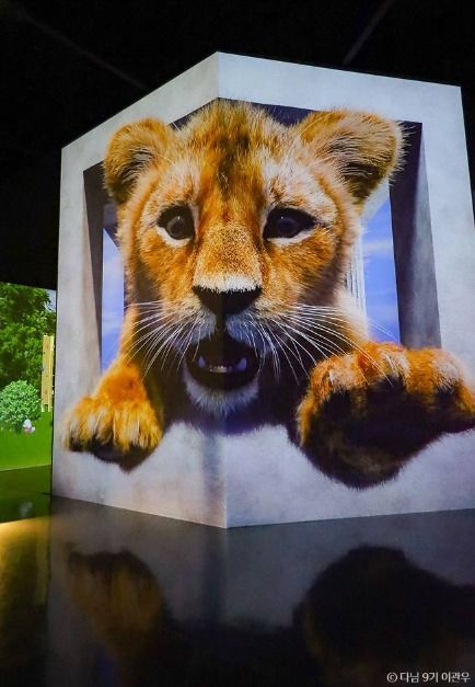 파주 데이트 코스_뮤지엄헤이_1-9