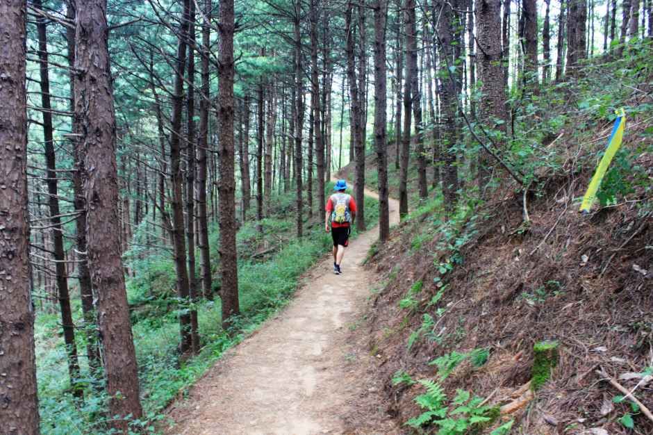[원주굽이길 1코스] 가마바우길