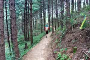 [원주굽이길 1코스] 가마바우길