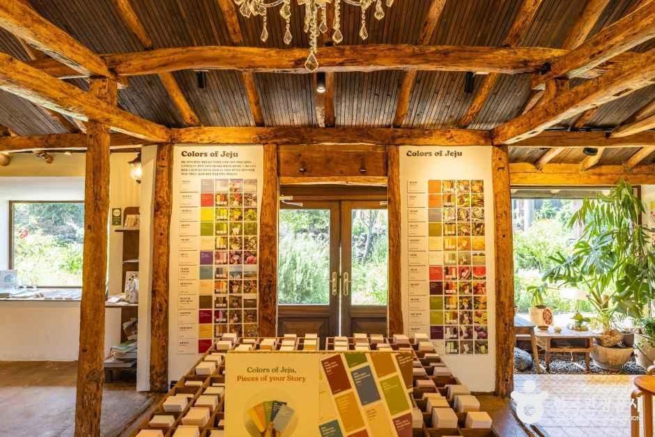 뚜띠콜로리 뮤제오