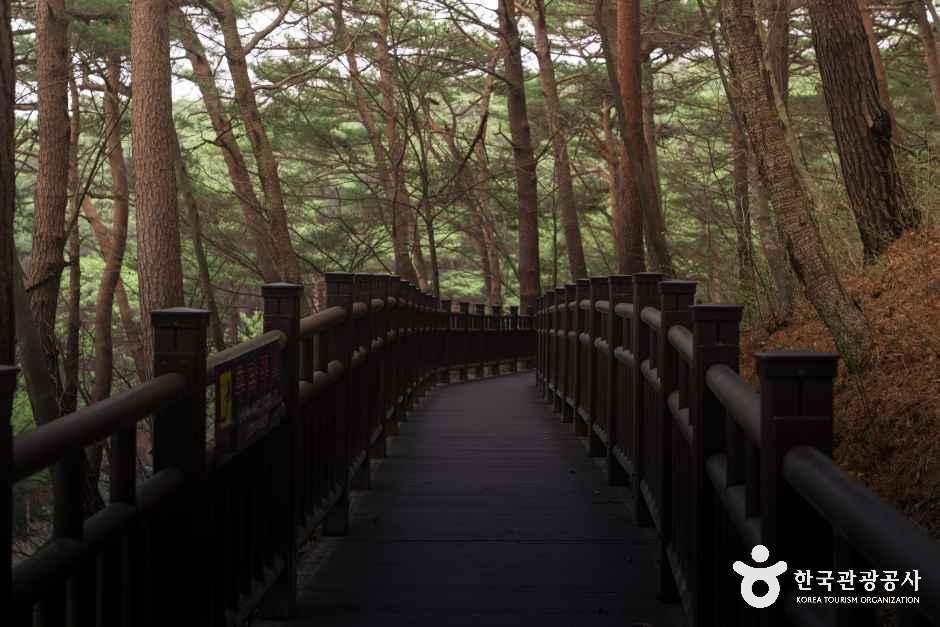 4057442 image2 1 예스키즈존 탐험대 : 실패 없는 육아여행