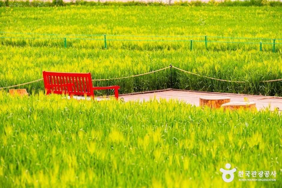 넓은들 학원농장