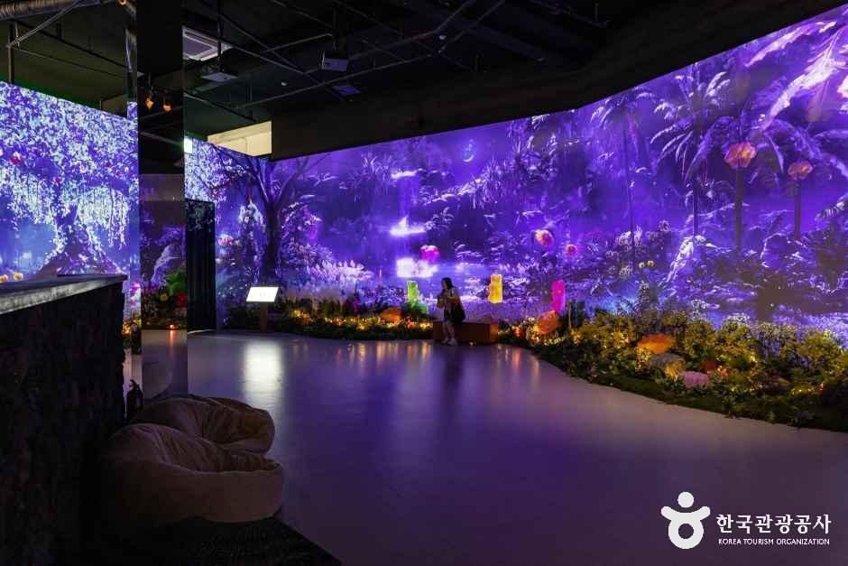 제주_하리보 해피월드 (4).jpg