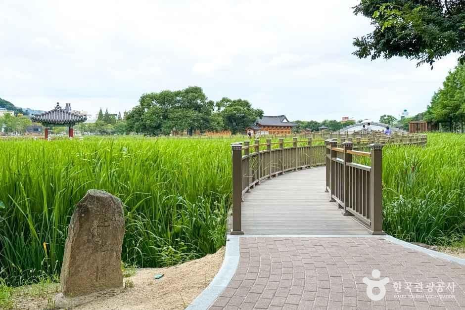 덕진공원