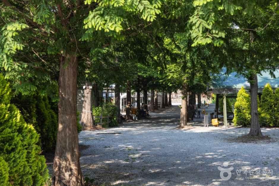 강화도산들애캠핑수영장
