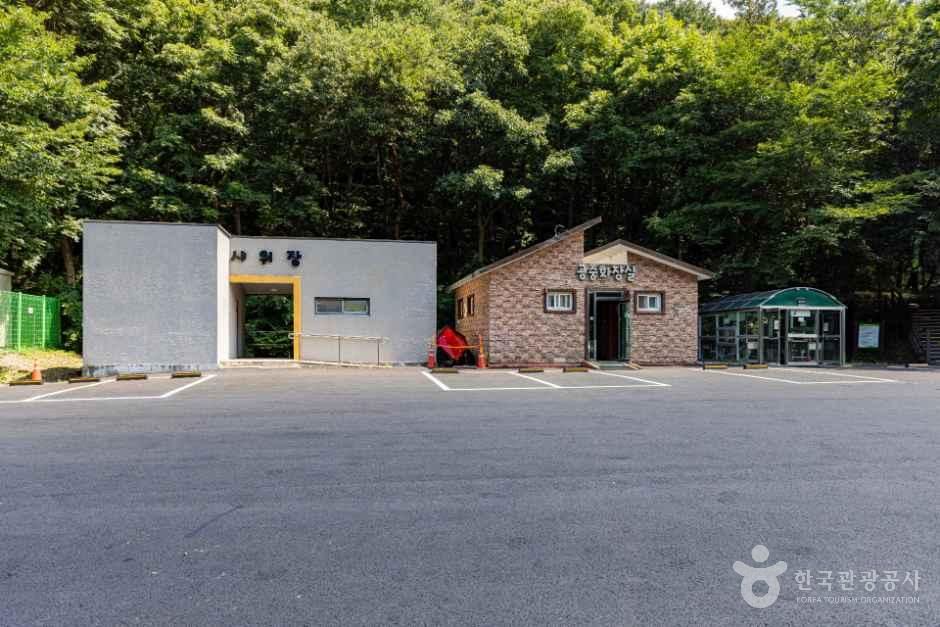 용현자연휴양림 야영장