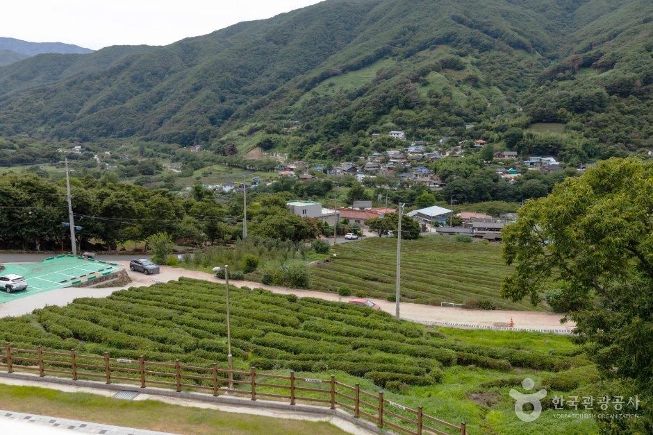 숲속