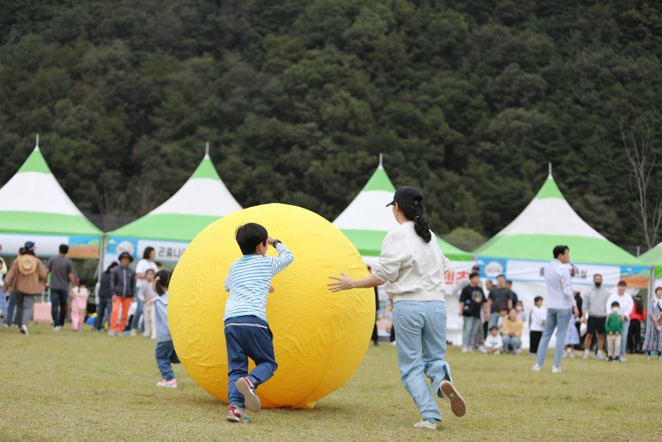 성주가야산황금들녘메뚜기축제 현장 2