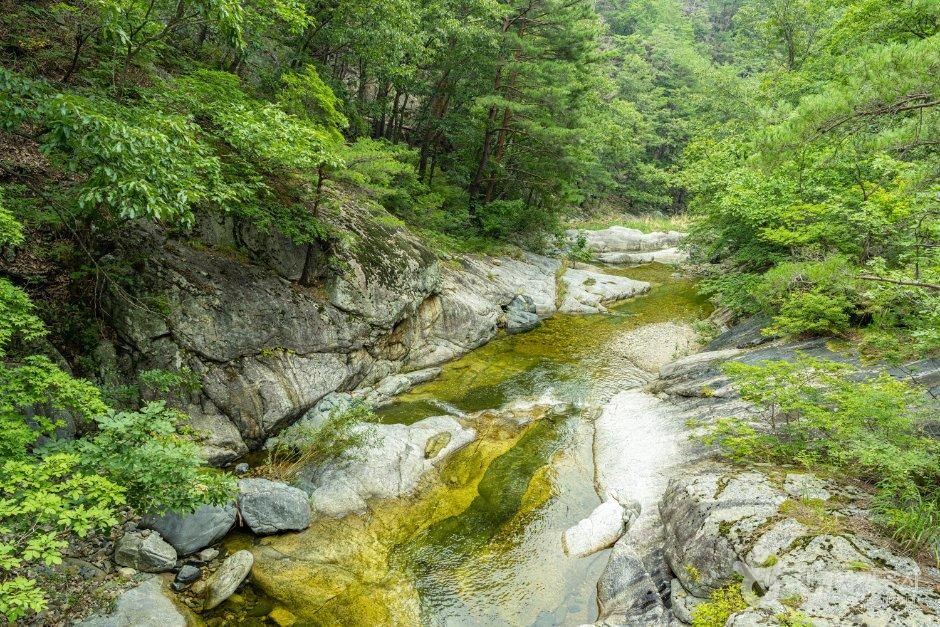 덕구계곡 (경북 동해안 국가지질공원)